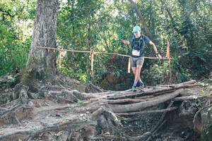 BIB: 
                            <button type="button" onclick="openModal(27743369)" class="btn btn-primary btn-sm float-right btn-popup" data-toggle="modal" data-target=".modal-high-quality">
                        <i class="fas fa-shopping-cart"></i> Add to Cart
                    </button>
                                            <button type="button" onclick="isThisMe(27743369, true)" class="btn btn-success btn-sm float-right btn-popup btn-isme hidden" data-toggle="tooltip" data-placement="bottom" title="นี่คือรูปของคุณใช่ไหม คลิกที่นี่เพื่อเอาเข้าอัลบั้ม">
                        <i class="fas fa-plus"></i> Add to album
                    </button>
                    <button type="button" onclick="isThisMe(27743369, false)" class="btn btn-warning btn-sm float-right btn-popup btn-isnotme hidden">
                        <i class="fas fa-ban"></i> Remove from album
                    </button>